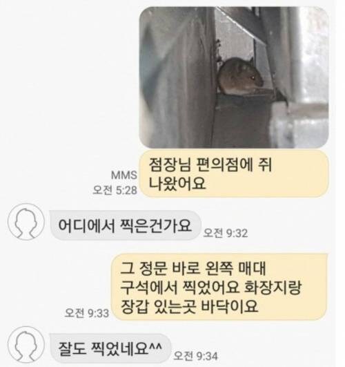 점장님 편의점에 쥐 나왔어요_1.jpg