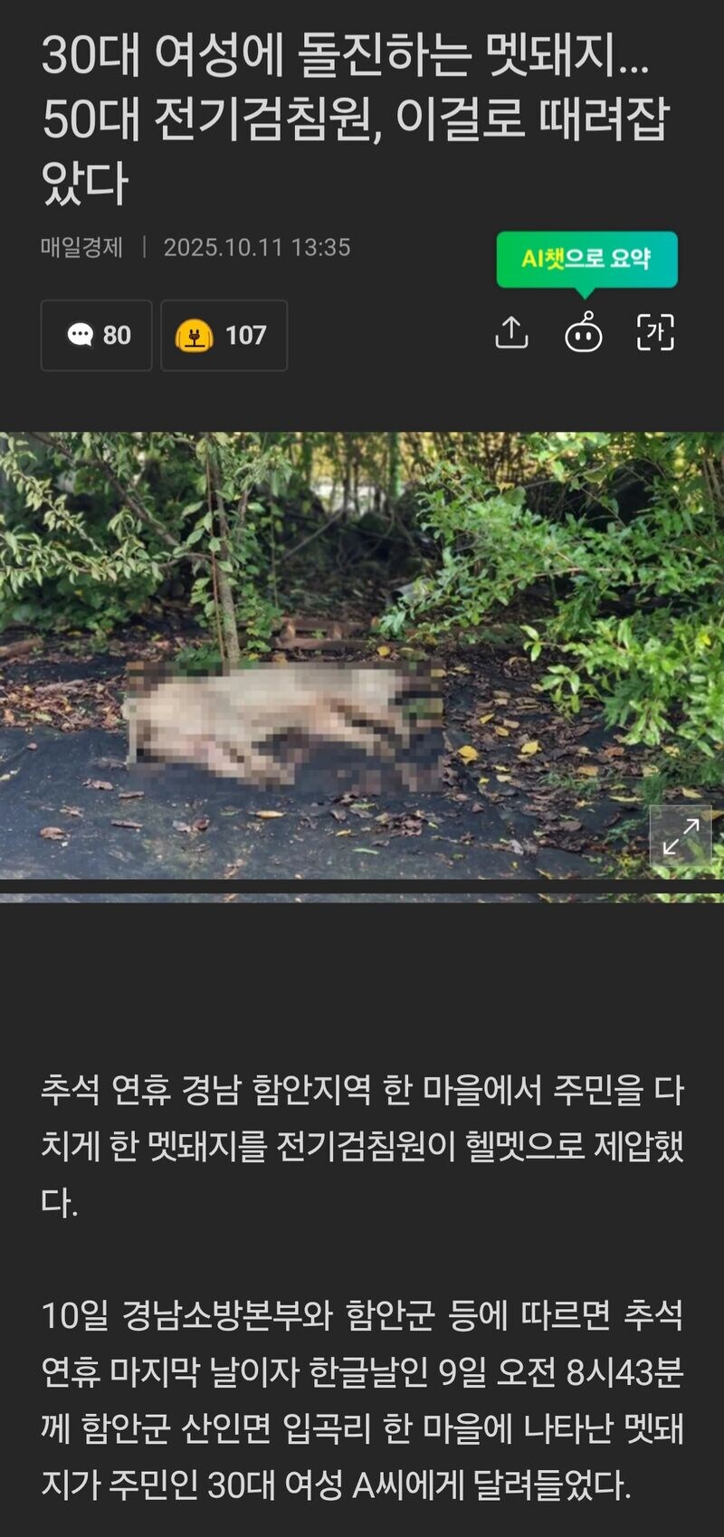 맷돼지를 만난 50대 전기 검침원_1.jpg