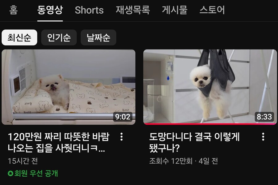 루퐁이네 유튜브도 결국 상업적으로 가네.._1.jpg