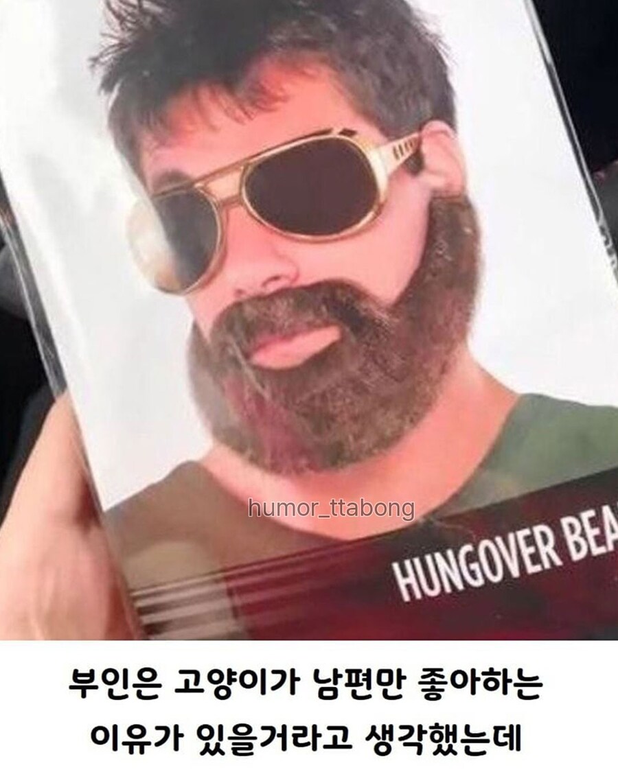 고양이가 남편만 좋아하는 이유_5.jpg