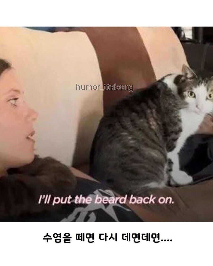 고양이가 남편만 좋아하는 이유_9.jpg
