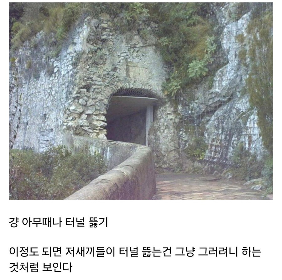 고대 로마가 개쩌는 이유_2.jpg