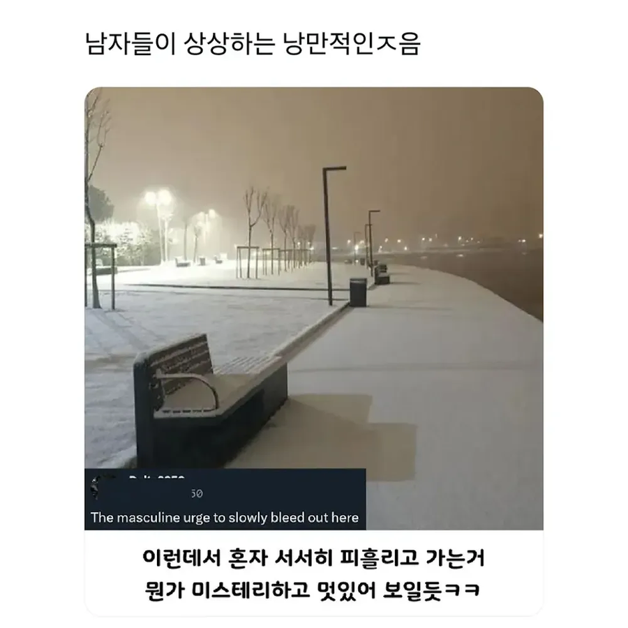 낭만작으로 죽기_1.webp
