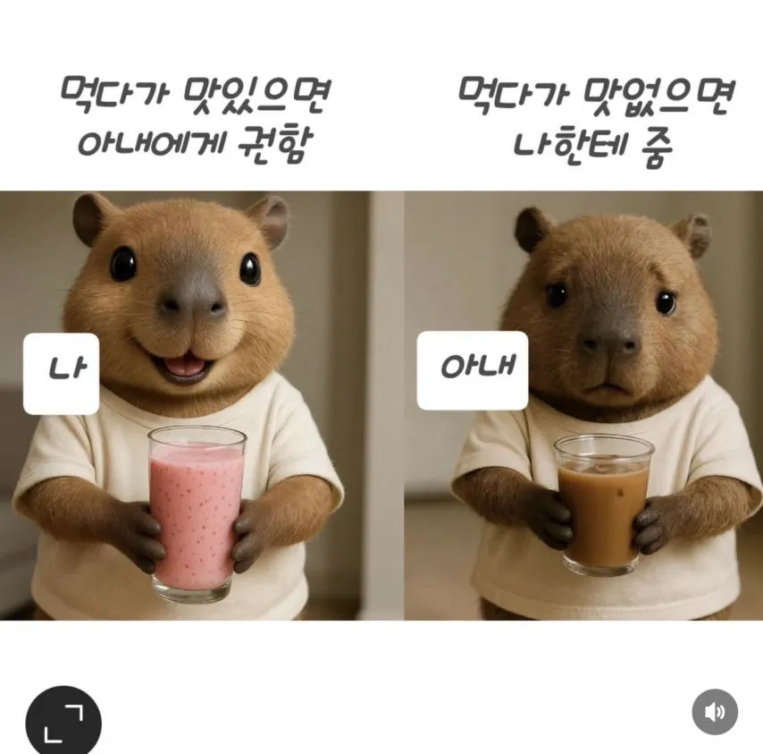 남편과 아내의 차이_1.webp