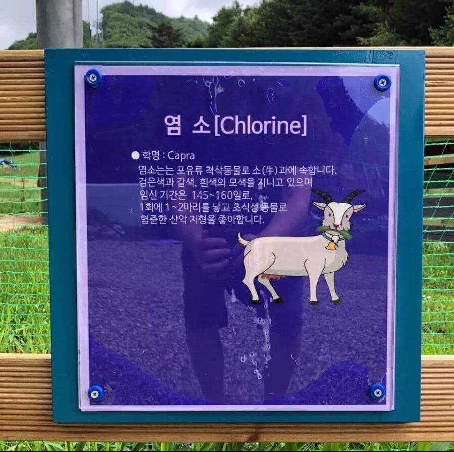 번역기 사용 후 검토가 필요한 이유.jpg_1.jpg