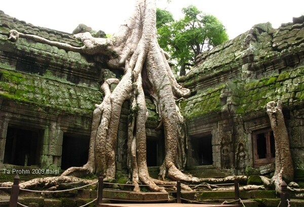 이제 앙코르와트는 영영 못보겠네_3.jpg