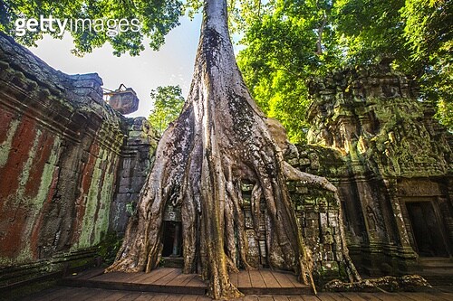 이제 앙코르와트는 영영 못보겠네_4.jpg