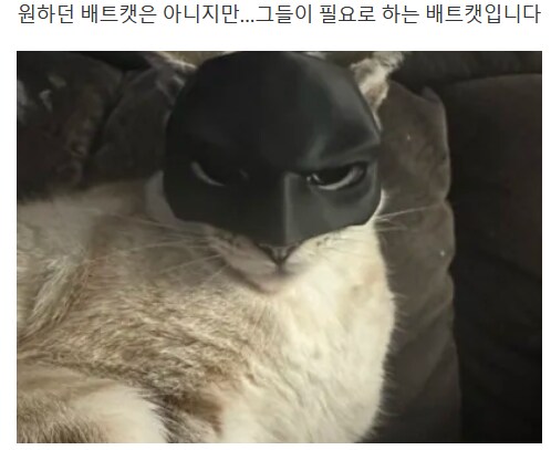 3D프린트) 출력물 리뷰 보다 빵터졌네ㅋㅋ_2.png