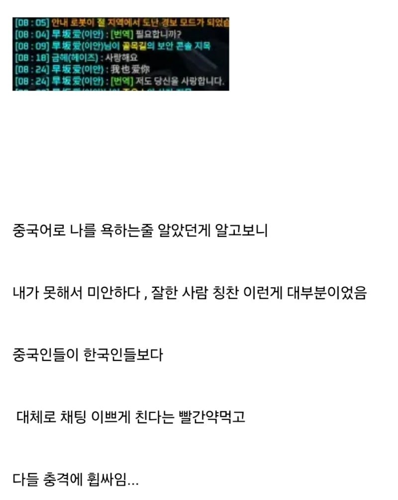 채팅 번역기 패치로 빨간약을 먹어버린 한국인들.jpg_4.jpg