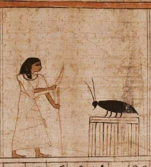 고대에 존재한 끔찍한 생명체_1.webp