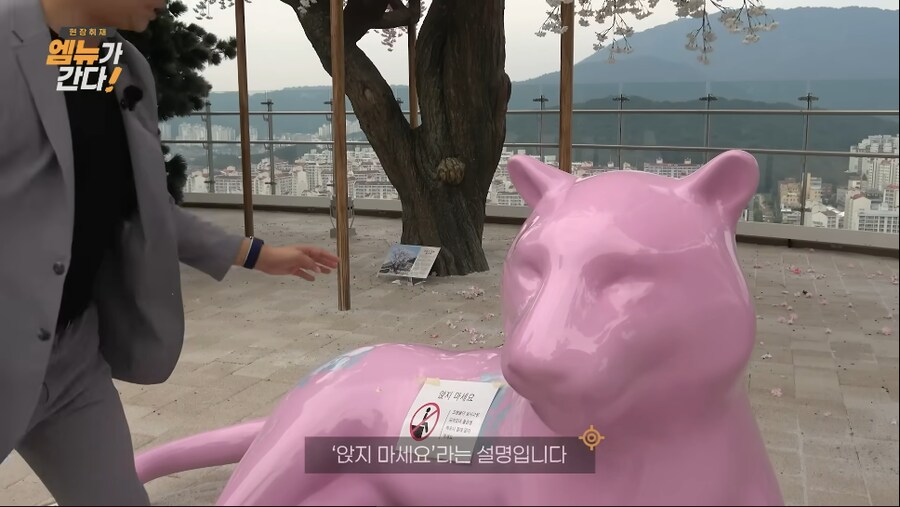 관종 유튜버들이 창원으로 가야하는 이유_6.png