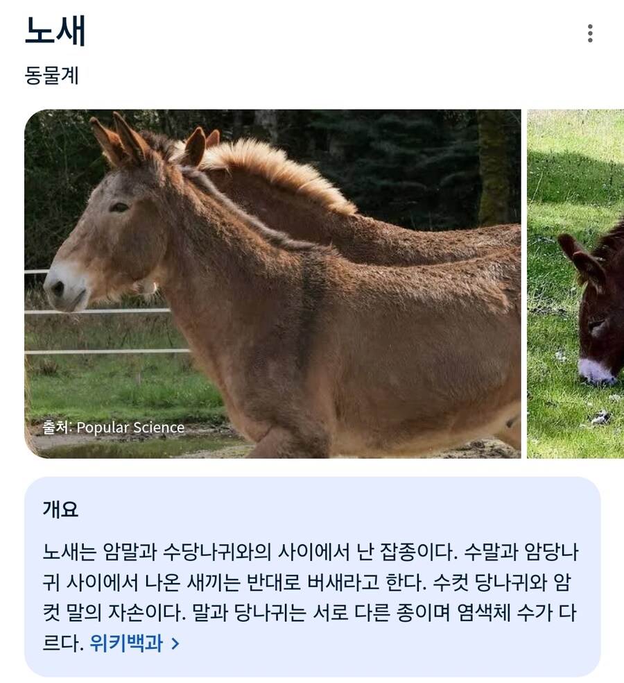 어느 세계관의 금기로 취급받는 동물_1.jpg