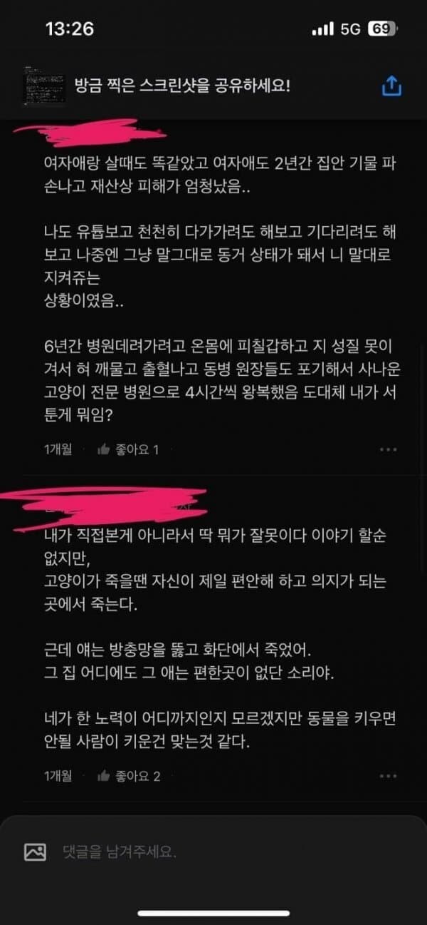 길고양이 주워다 키우고싶을때 읽으면 좋은 글_6.jpg