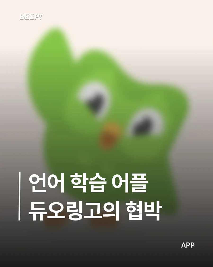 듀오링고를 깔면 안되는 이유_1.webp