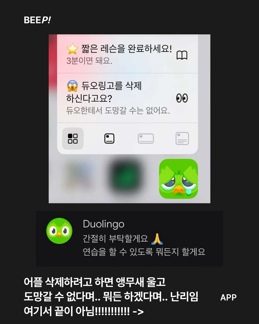듀오링고를 깔면 안되는 이유_3.webp