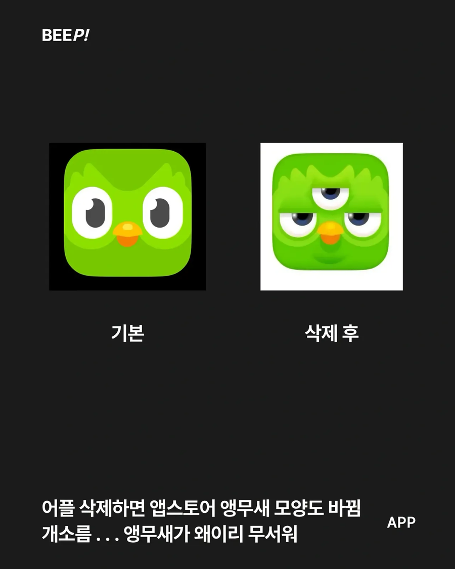 듀오링고를 깔면 안되는 이유_4.webp
