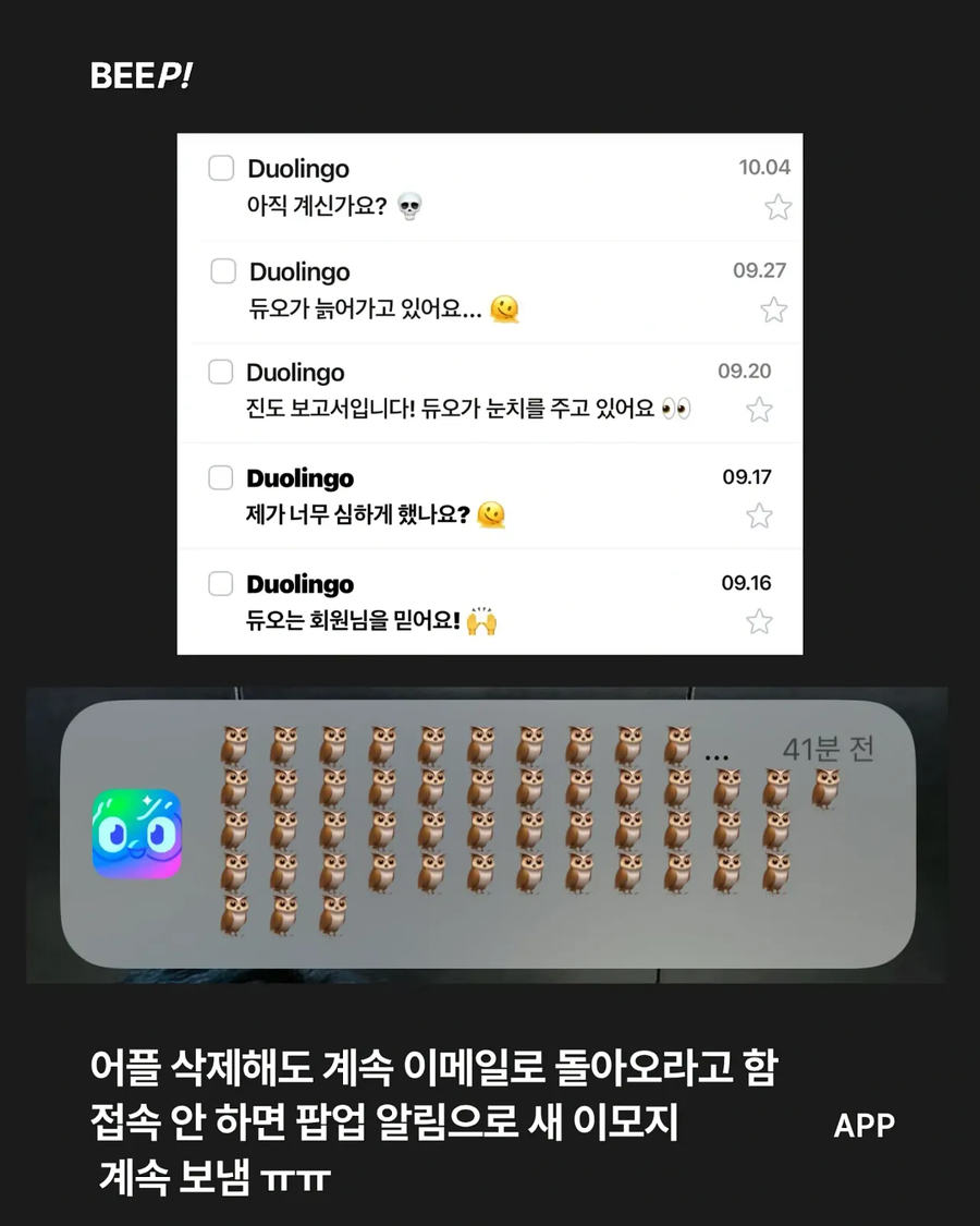 듀오링고를 깔면 안되는 이유_5.webp