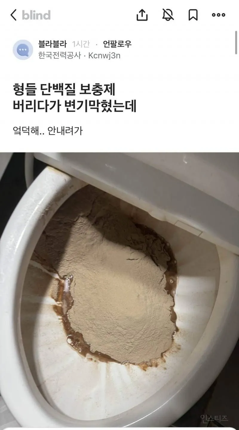 보충제 버리다가 변기 막힌 블라인_1.webp