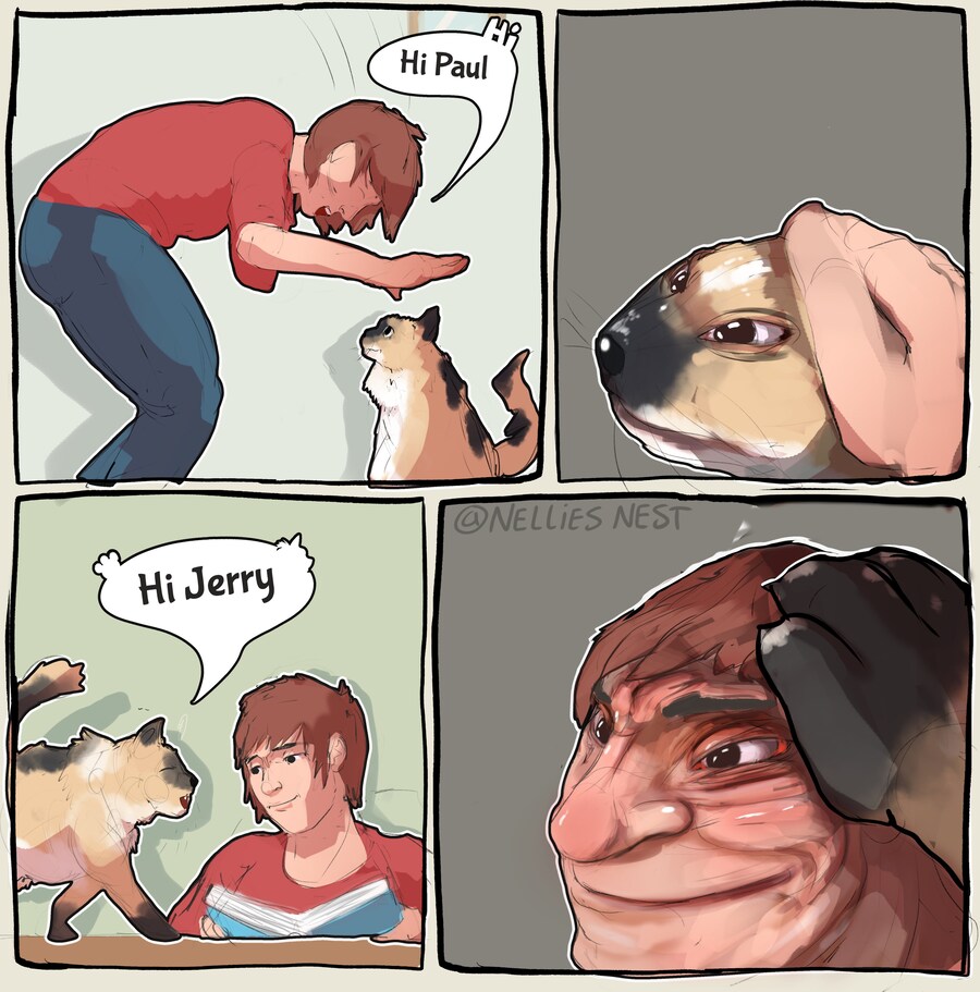 고양이 쓰다듬을 때 조심해야 하는 이유.jpg_1.jpg