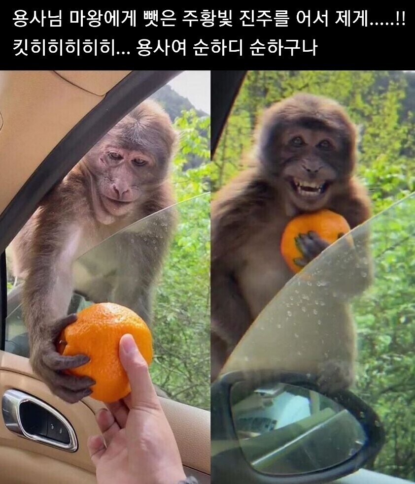 죠죠)낄낄낄 순진한 녀석 같으니-_1.jpg