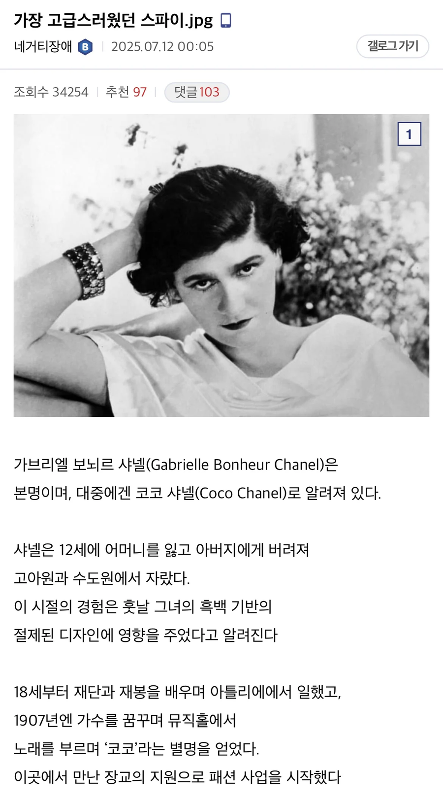 역사상 가장 고급스러웠던 나치의 스파이.jpg_1.webp