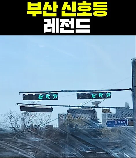 외지인은 쉽지 않다는 부산 신호등.jpg_1.webp