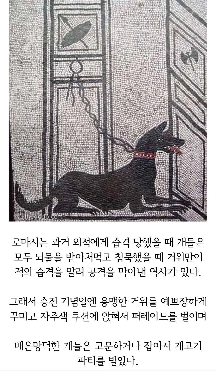 의외로 복날이 있었던 서양 국가_1.webp