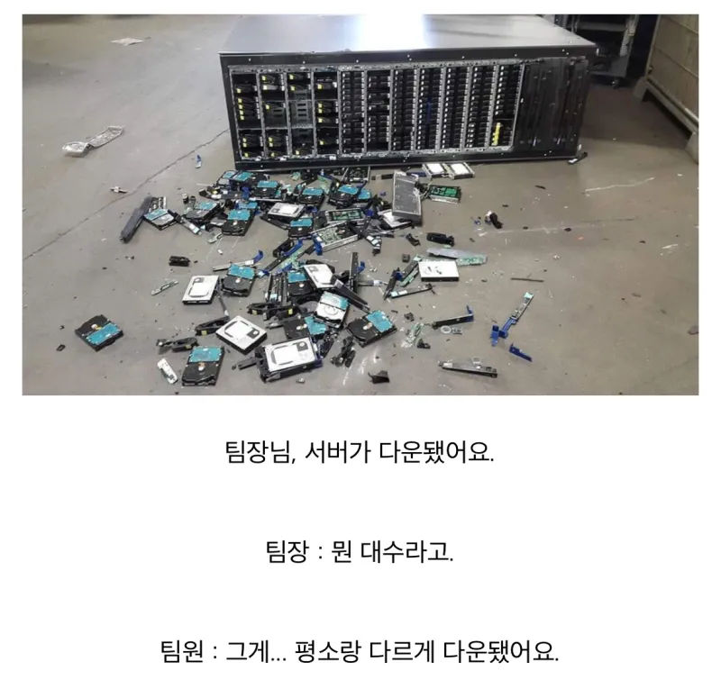 팀장님, 서버가 다운됐어요!_1.webp
