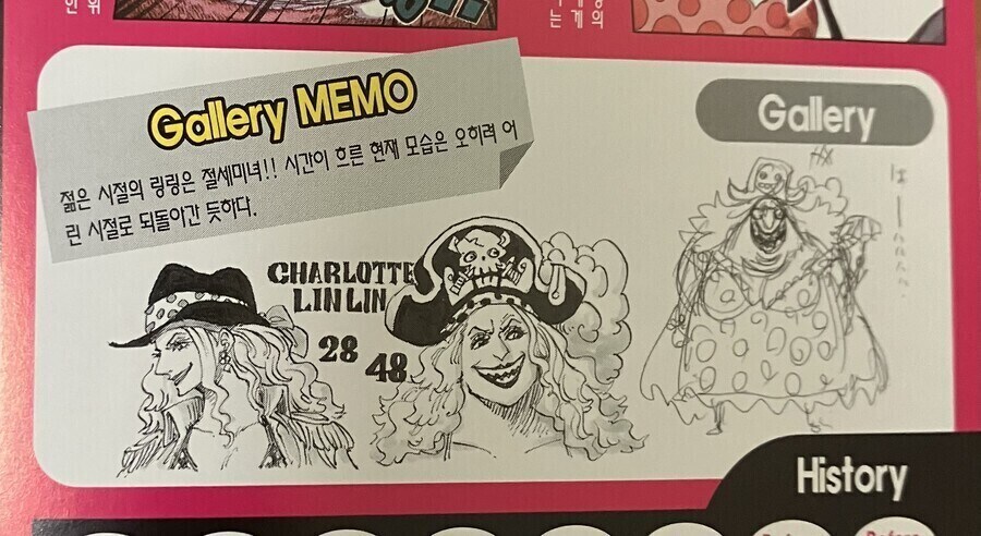 원피스 지금보면 묘한 빅맘 설정집 문구_1.jpg