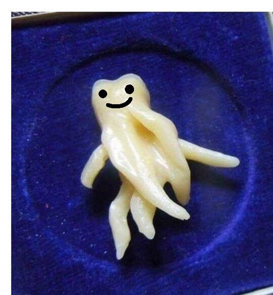 모에화로도 커버가 안 되는 존재 1위_1.jpg