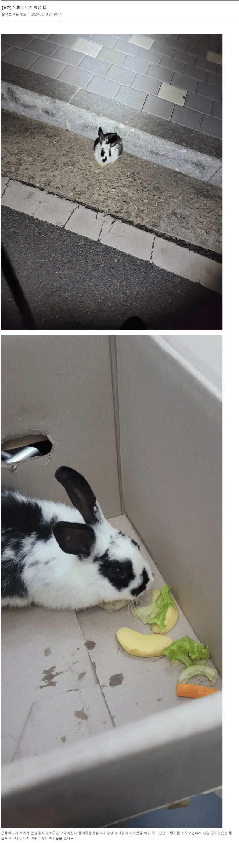 님 부모도 비슷한생각 했을듯요._1.webp