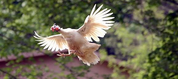 신이 진짜 지구를 대충 만들었단 증거_1.jpg