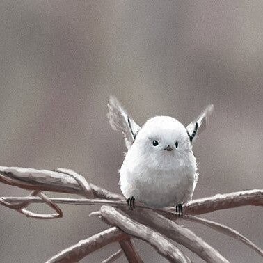 신이 진짜 지구를 대충 만들었단 증거_2.jpg