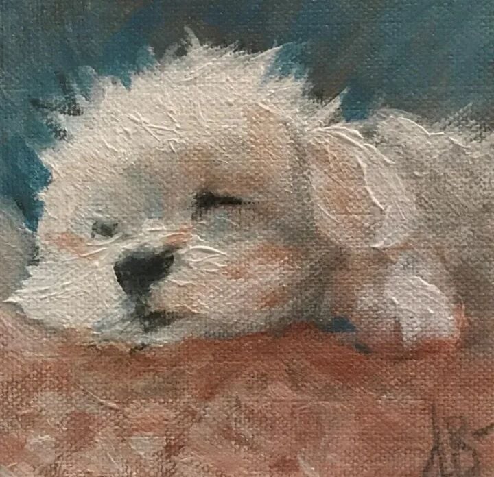 화가가 키우던 말티즈를 추모하기 위해 그린 그림들_3.jpg