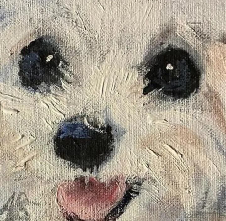 화가가 키우던 말티즈를 추모하기 위해 그린 그림들_5.jpg