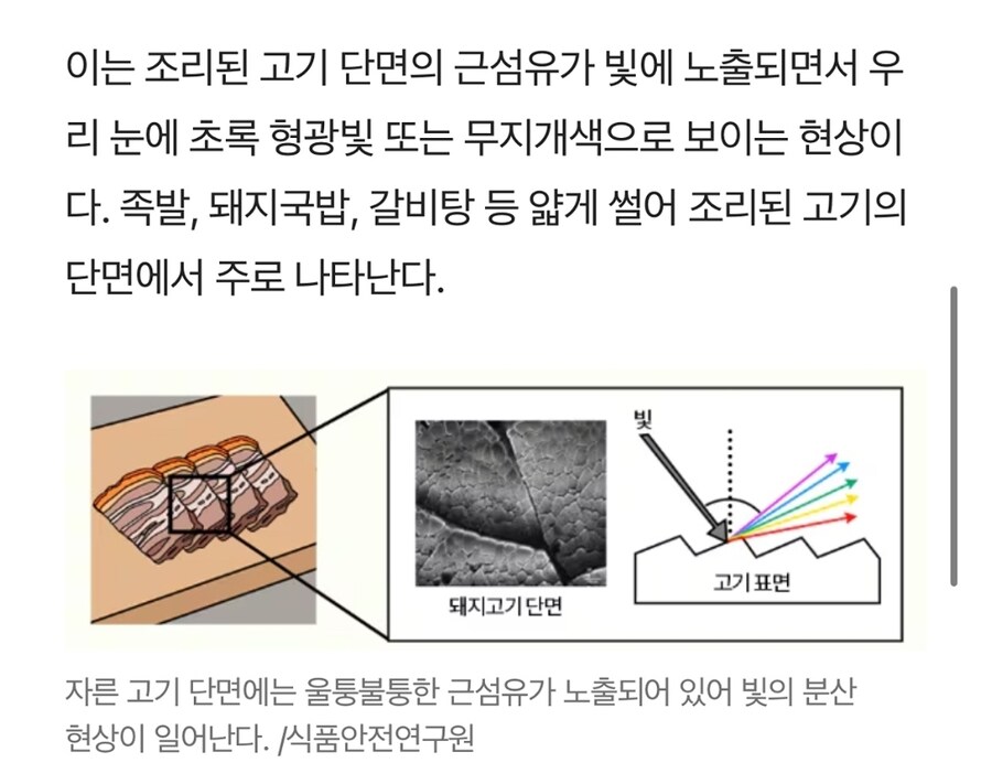 고기에 무지개빛 상한줄 알고 다버렸다는 홍현희_2.jpg
