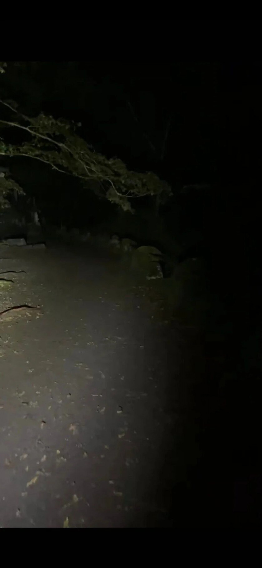 진짜로 사람이 실종된다는 무서운 지장보살 터_1.jpg