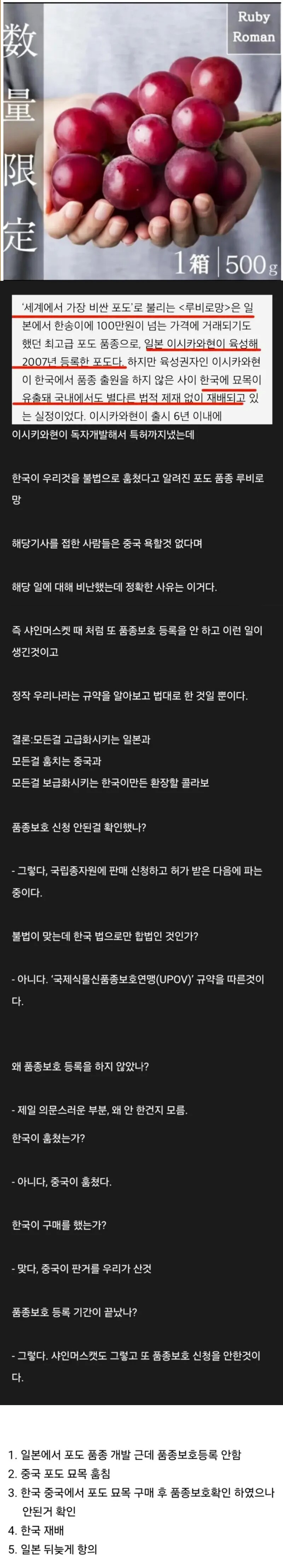 제2의 샤인머스켓 사태 루비로망_1.png