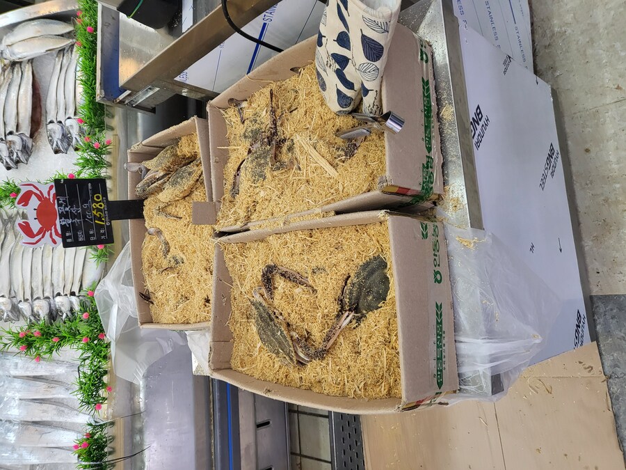 방금 마트에서 들은 저세상 드립_1.jpg