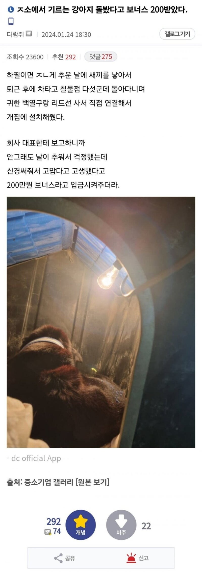 회사에서 기르는 개 돌봤다고 보너스 200 받음.jpg_1.jpg