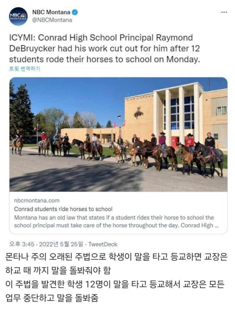 오래된 법은 개정해야하는 이유.jpg_1.jpg