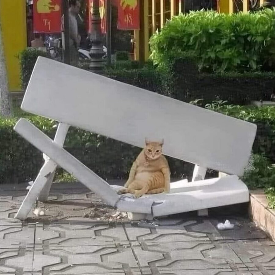 나의 자부심_1.jpg