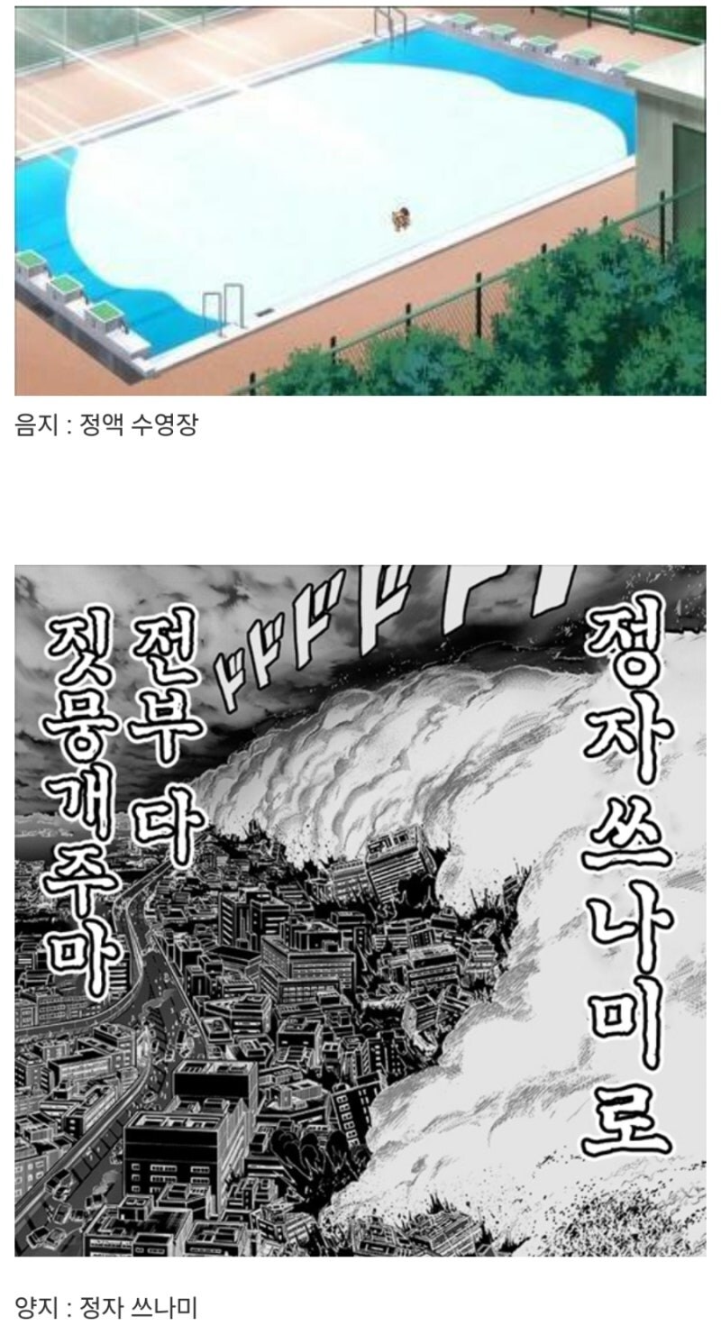 음지물과 양지물의 차이.jpg_1.jpg