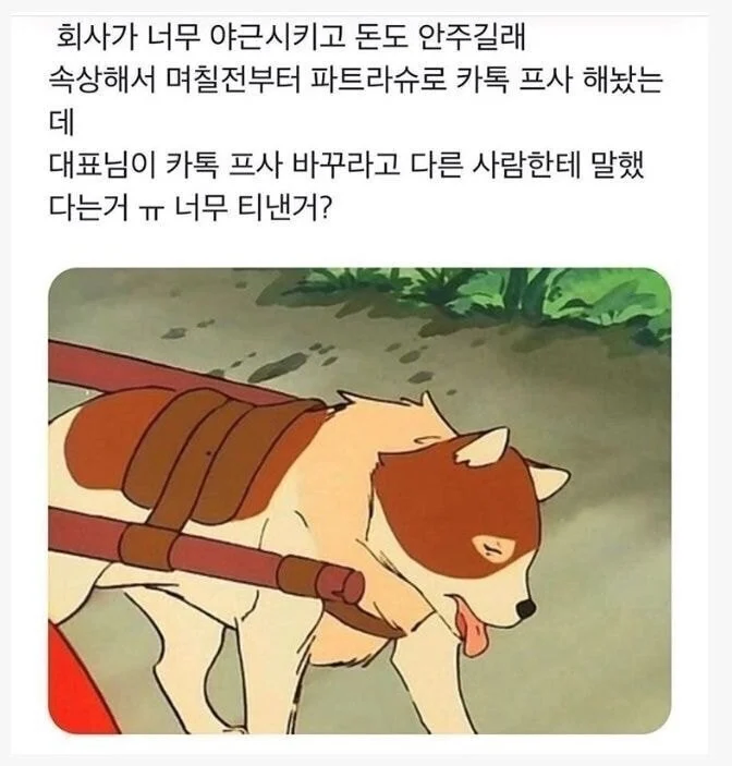 어느 중소기업 직원의 카톡프사_1.webp