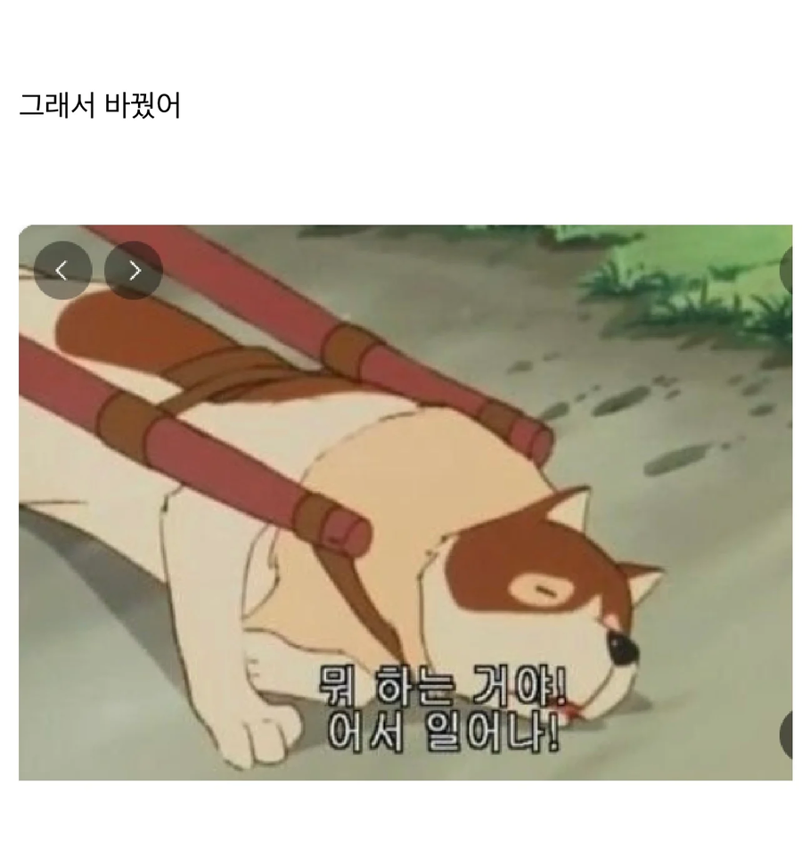 어느 중소기업 직원의 카톡프사_2.webp