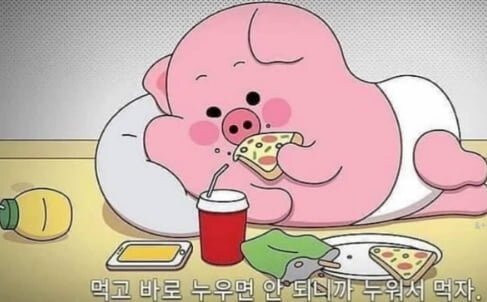 밥먹고 바로 누우면 역류성 식도염에 걸리니_1.jpg