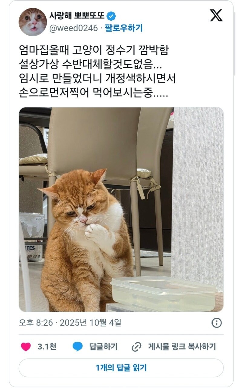 어이 집사. 내 전용 정수기는 어디로 갔지?_1.jpg