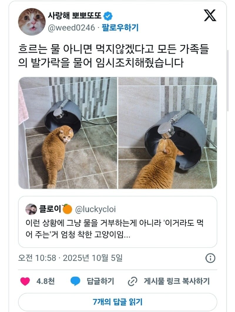 어이 집사. 내 전용 정수기는 어디로 갔지?_2.jpg