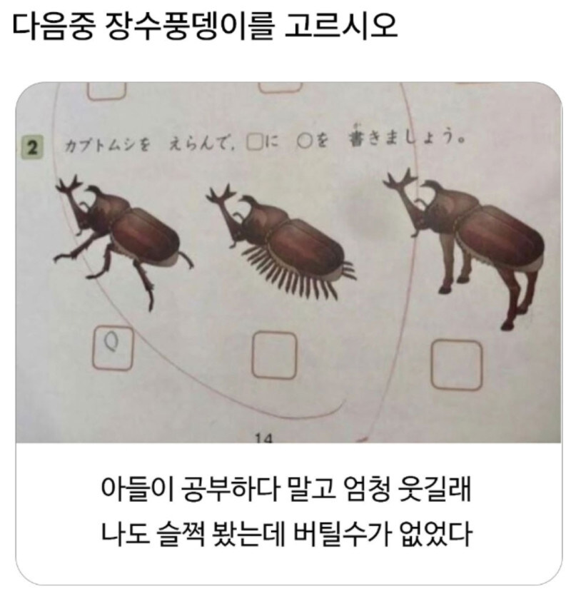 다음중 장수풍뎅이를 고르시오_1.jpg
