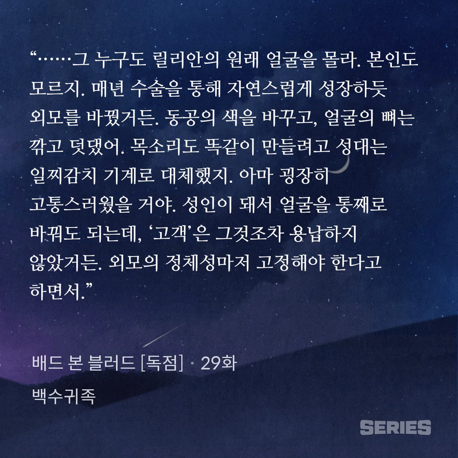 웹소설)정략결혼(X), 주문맞춤형 신부(O)_4.webp